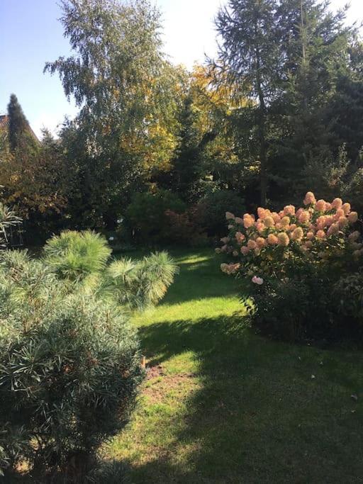 Dom Z Ogrodem Blisko Centrum Poznan Dış mekan fotoğraf